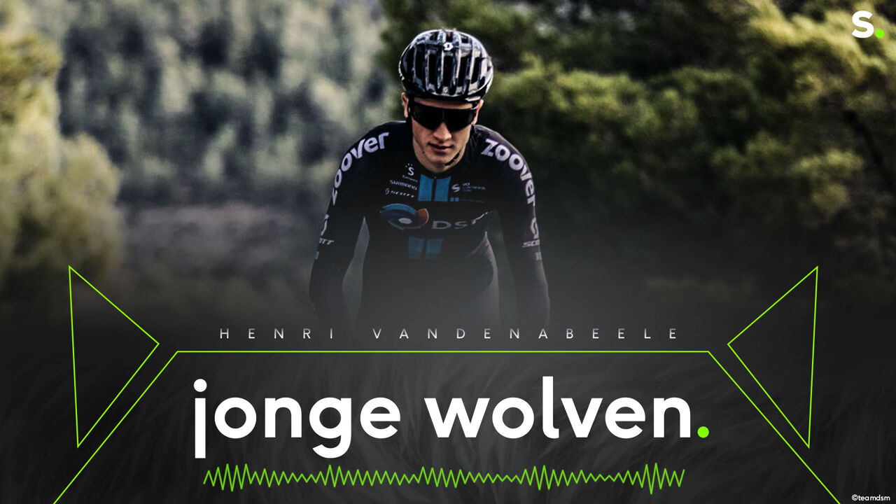 Henri Vandenabeele in Jonge Wolven