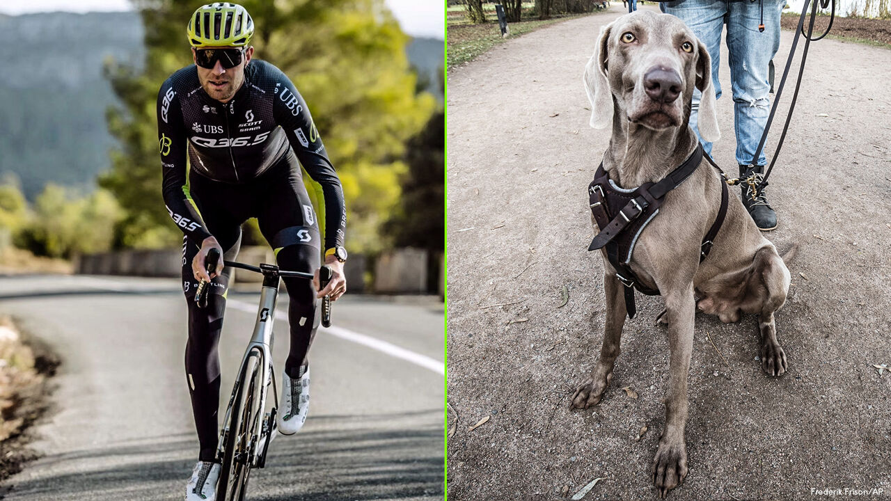 Через месяц после нападения собаки Фредерик Фрисон вернулся к своему велосипеду с улыбкой: «Несколько дней я был немного глубже».