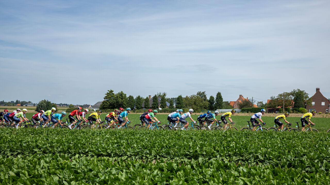 700 km in België, amper 40 bij onze Noorderburen: waarom kleurt de Renewi Tour steeds minder Nederla