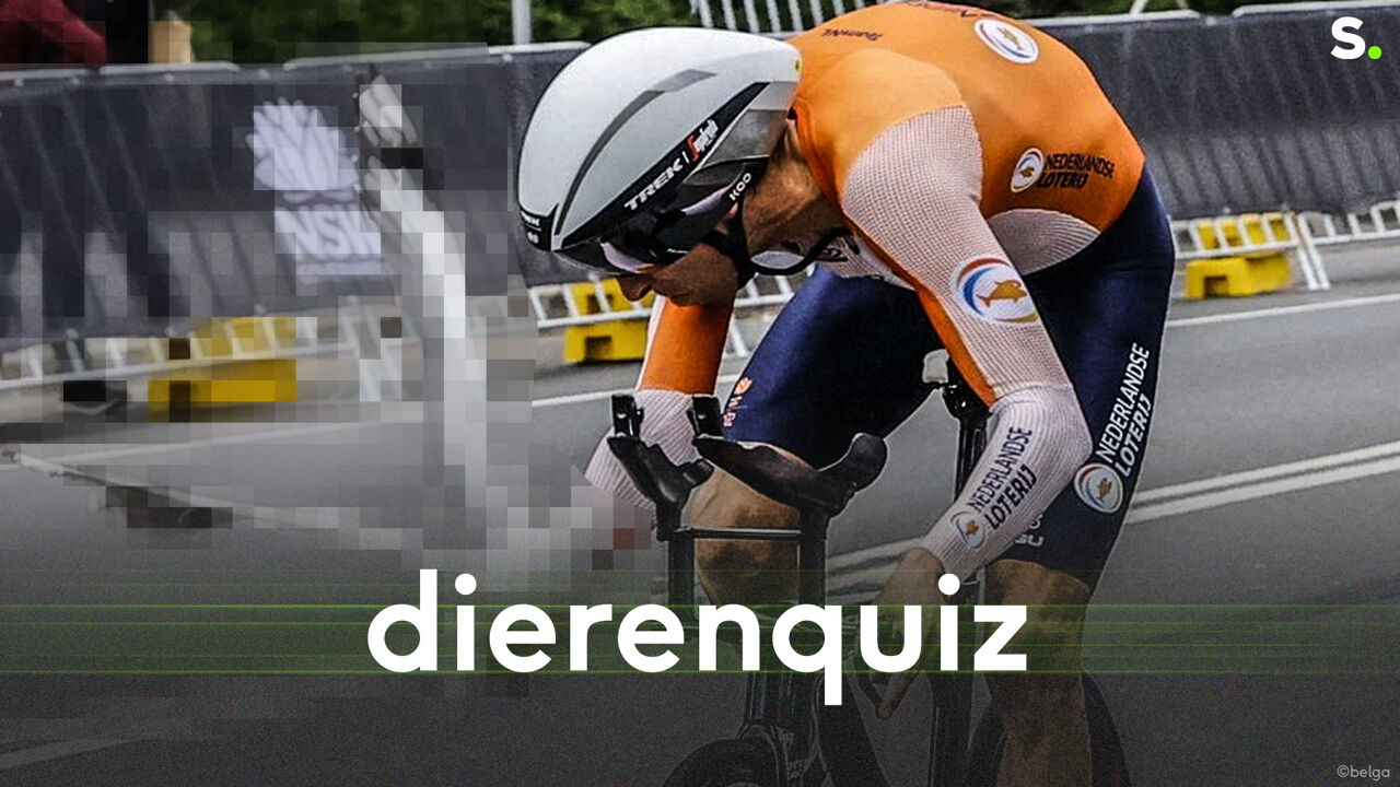 QUIZ: Dieren in de sport, ken jij deze legendarische voorgangers van de Welshe rat?